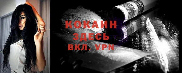ПСИЛОЦИБИНОВЫЕ ГРИБЫ Вяземский