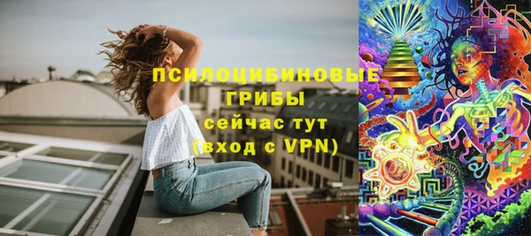 марки lsd Горно-Алтайск