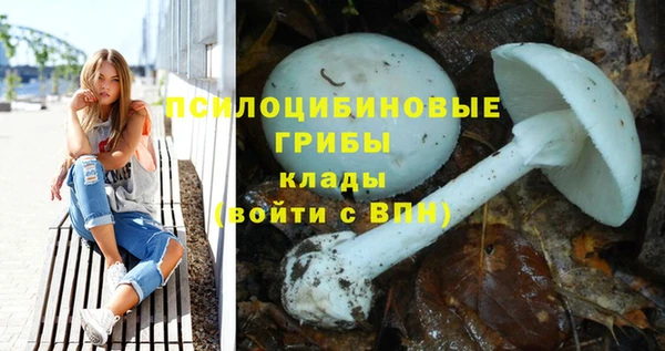 стаф Гусев