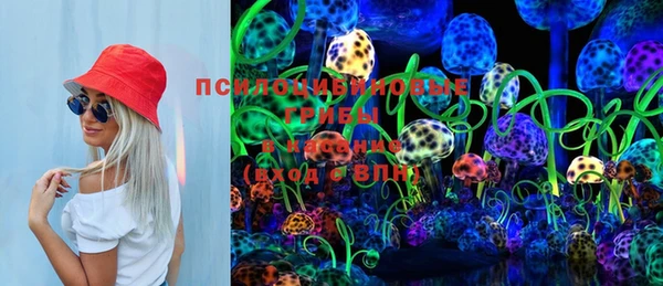ПСИЛОЦИБИНОВЫЕ ГРИБЫ Вяземский