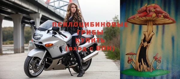 таблы Горняк