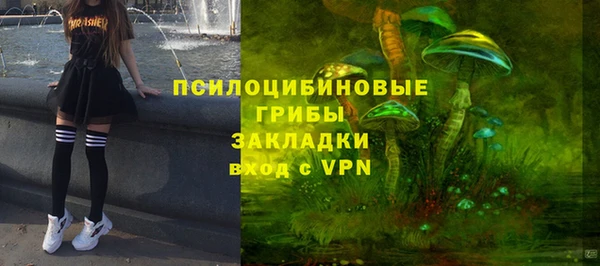 ALPHA PVP Гусь-Хрустальный