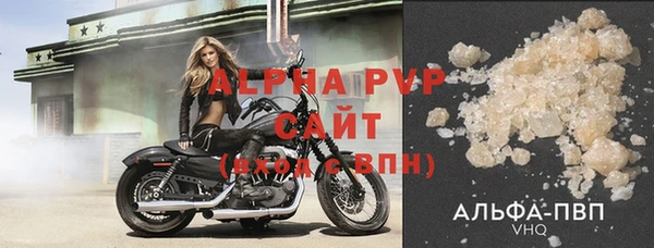 стаф Гусев