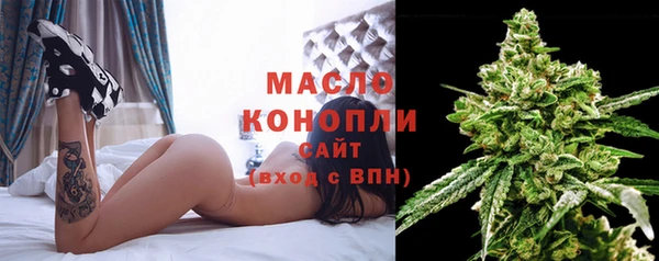 стаф Гусев
