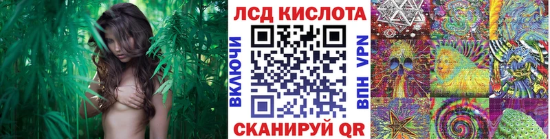 Марки N-bome 1,5мг  МЕГА как войти  Звенигово 